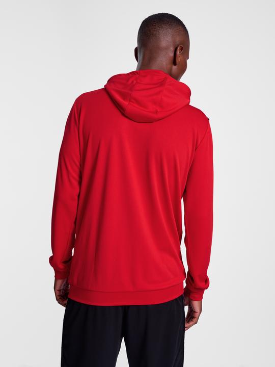 Actual product image hummel Hmlauthentic Pl Hoodie (M)