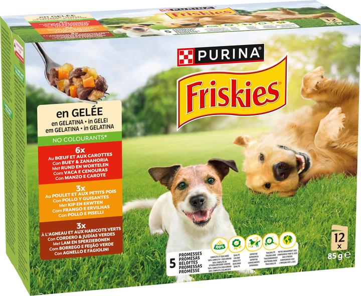 Friskies In jelly (Adult, 12 pcs., 1160 g)