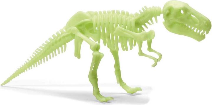 Image du produit Brainstorm Squelette de T-Rex Glow in the Dark