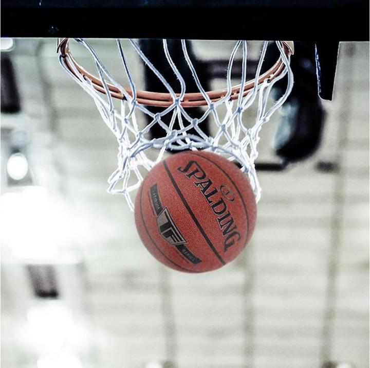 Actual product image Spalding TF Silver