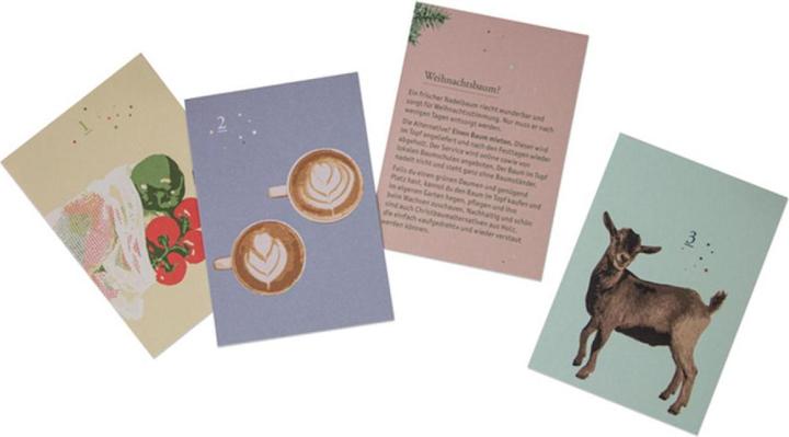 Actual product image TOP Mini Advent Calendar Sustainability