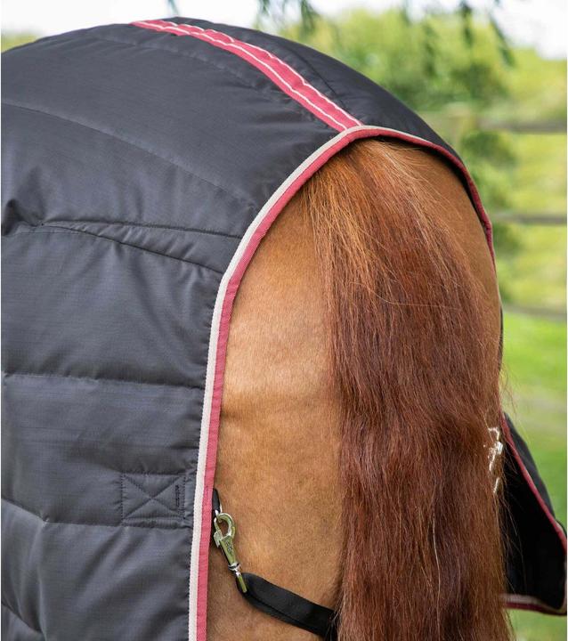 Image du produit Premier Equine Garissa 100 g (160 cm)