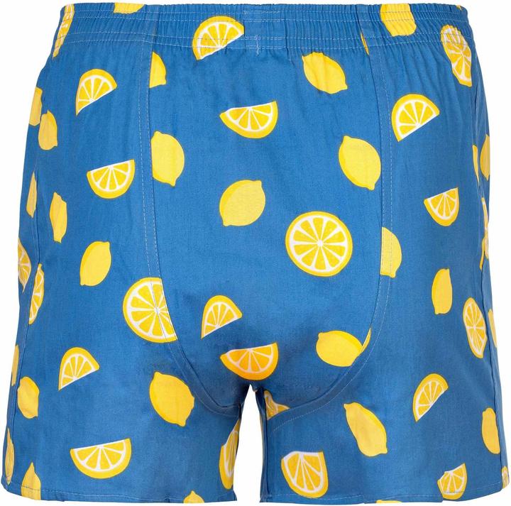 Produktbild Happy shorts Web-Boxershorts Casual Bequem sitzend (L, Einzelpack)