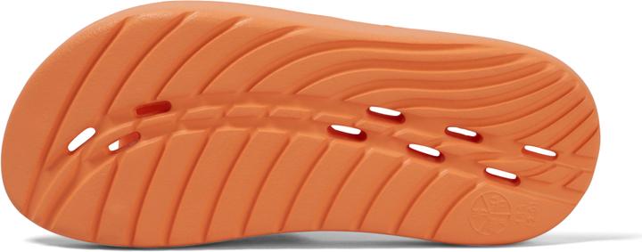 Actual product image Speedo Slide JU (33)