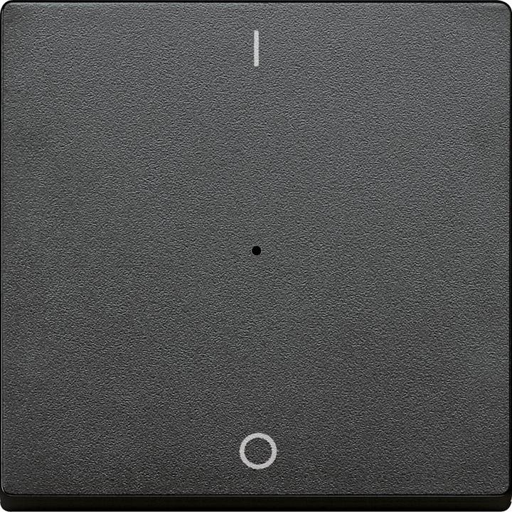 Actual product image Merten Rocker for 1-gang push-button module with imprint 625414