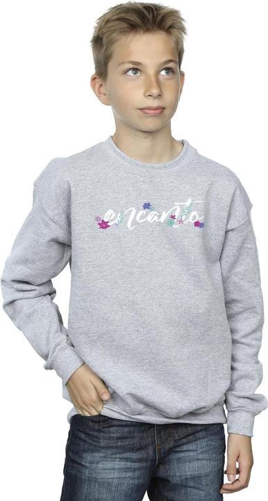 Actual product image Disney Boys Encanto Logo Sweatshirt (140, 146)