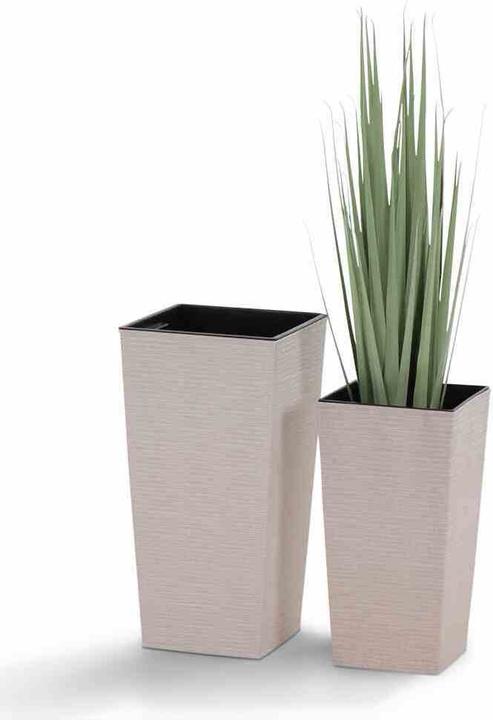 Actual product image Siena Garden ECO Nice (30 cm)