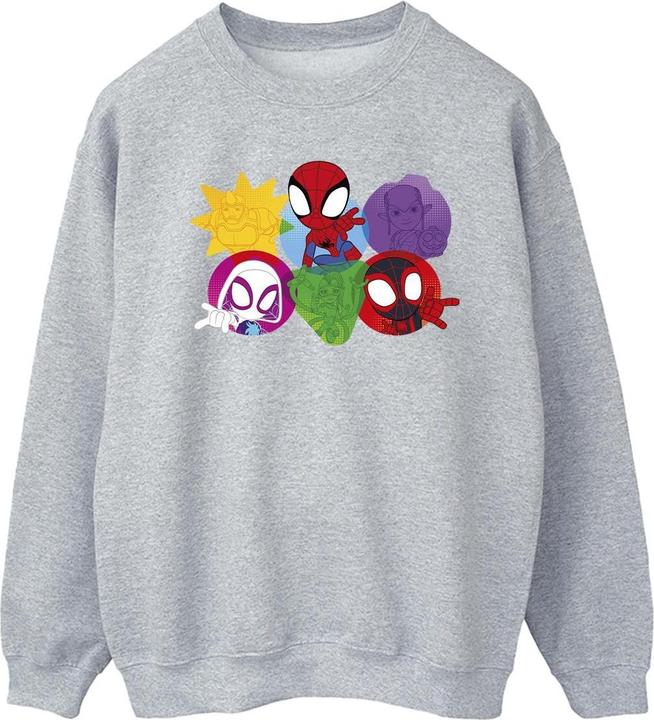 Produktbild Spidey And His Amazing Friends Faces Sweatshirt (XL)