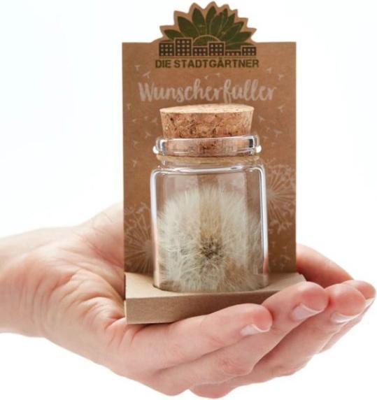 Actual product image Natura Punto Dandelion (Ø 4 x 8 cm)