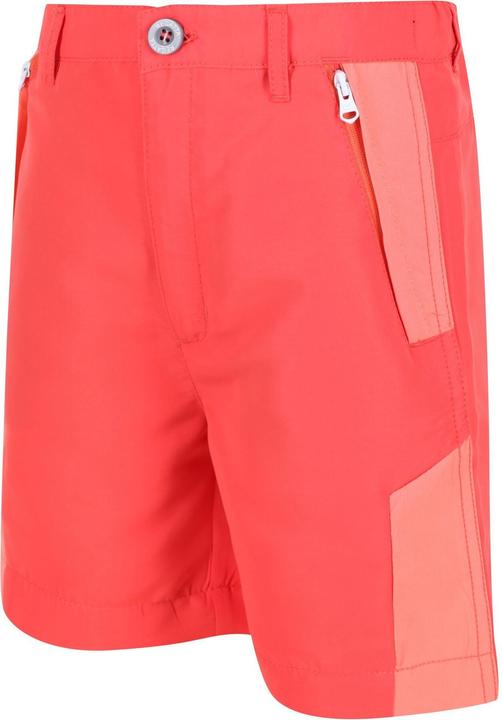 Actual product image Regatta Sorcer II Shorts (128)