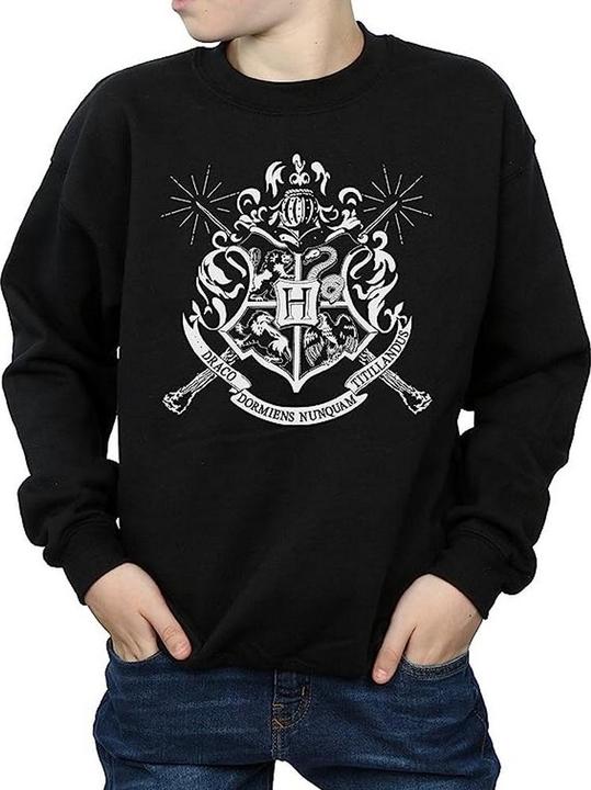 Image du produit Sweatshirt Garçons Hogwarts Armoiries Baguettes (116)