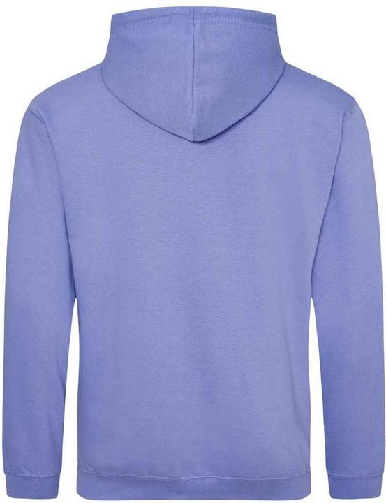 Image du produit Awdis - Sweat à capuche COLLEGE - Adulte (XXL)