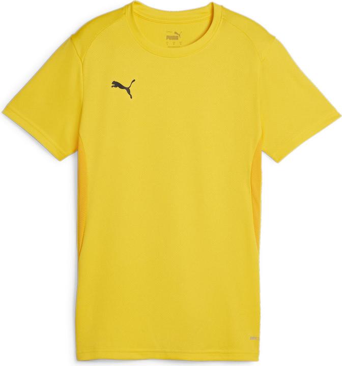 Puma teamGOAL Jersey Wmn
