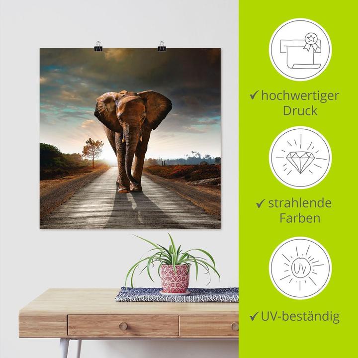Produktbild Artland Ein Elefant läuft auf der Strasse T9QO (100 x 100 cm)