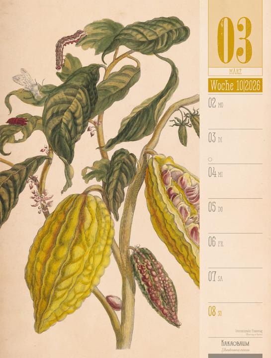Produktbild Culinarium - Küche, Kräuter, Kurioses - Vintage Wochenplaner Kalender 2026 (25 x 33 cm, Harter Einband, Deutsch)