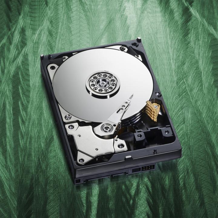 Image du produit WD Caviar Green (3 To, 3.5")