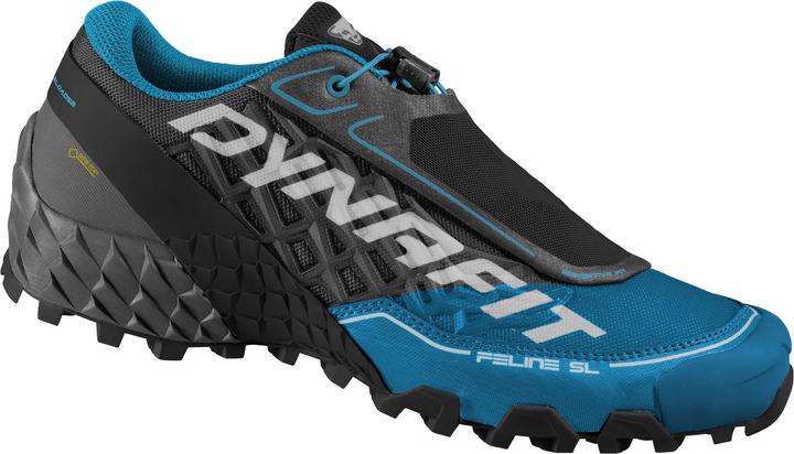 Image du produit Dynafit Feline SL GTX (45)
