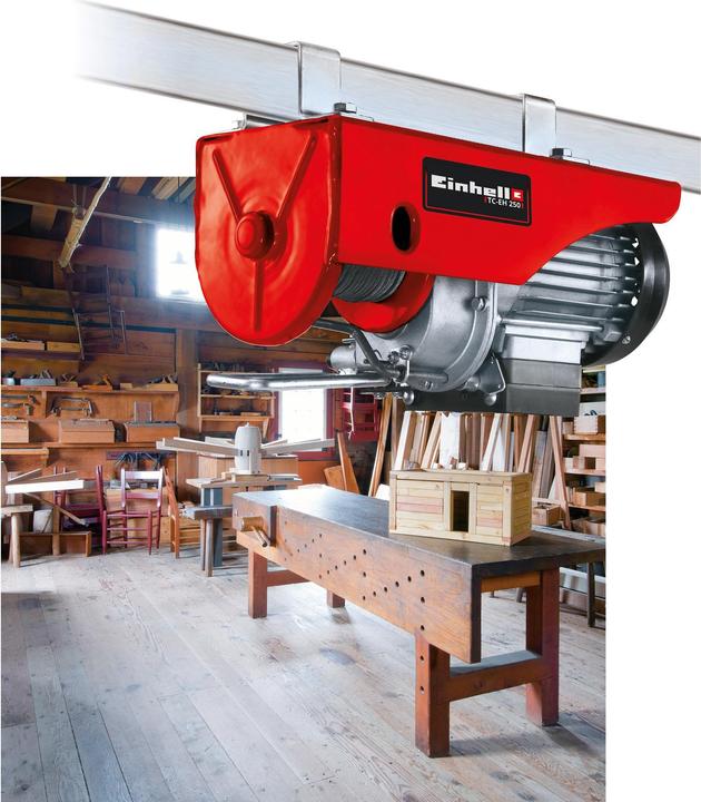 Actual product image Einhell Rope hoist TC-EH 250
