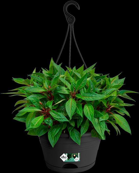 Actual product image Elho Potting Shed Set Green Basics plastic Ø 28 H 18 cm black incl. holder and saucer (29 cm)