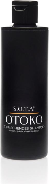 S.O.T.A. Otoko (250 ml, Flüssiges Shampoo)