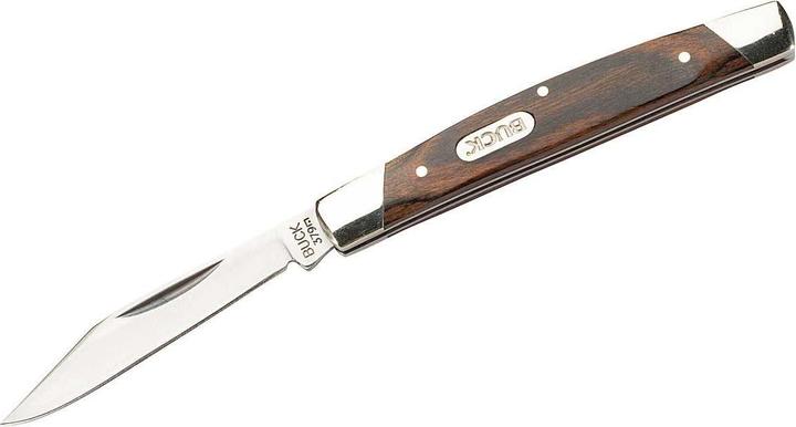 Immagine prodotto Buck Coltello da tasca SOLO