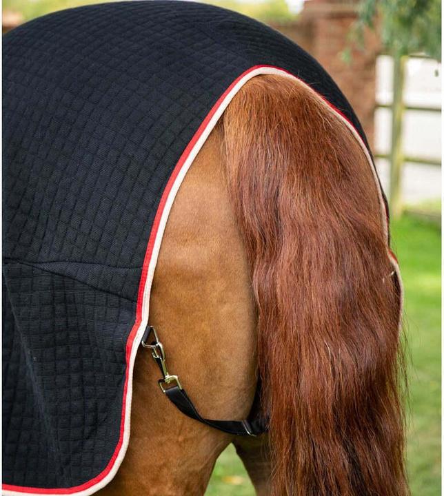 Image du produit Premier Equine Premtex (160 cm)