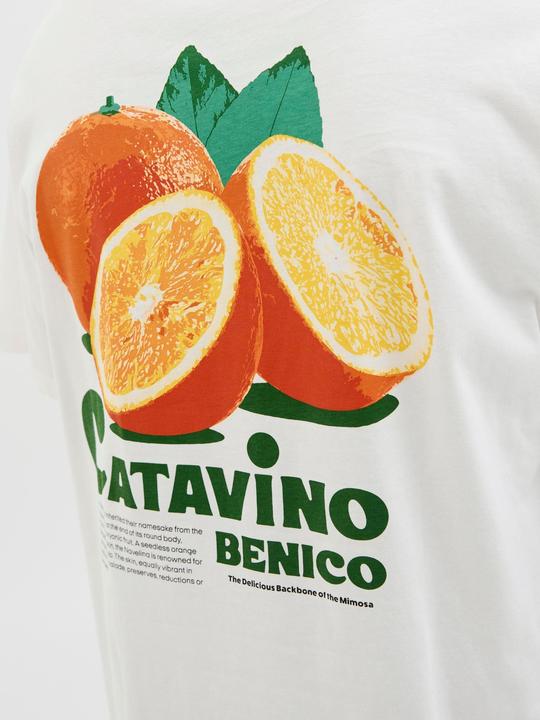 Produktbild Jack & Jones Jorbradley Fruits Tee Ss C.N Stmss25 (XXL)