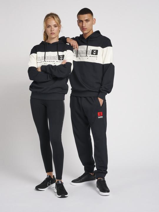 Produktbild hummel Lgc Musa Hoodie (L)