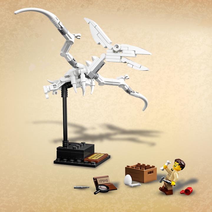 Immagine prodotto LEGO Fossili di dinosauro (21320, LEGO Ideas)