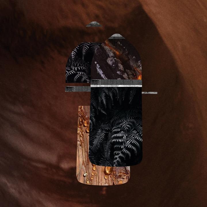 Actual product image Cartier Pasha de Noir Absolu (Eau de parfum, 50 ml)