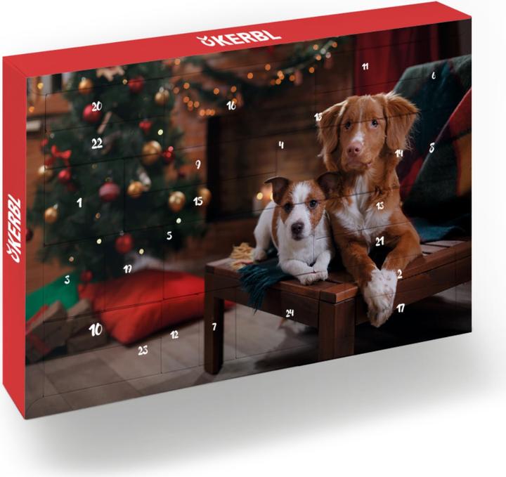 Produktbild Hauptner Adventskalender 2020 Hund