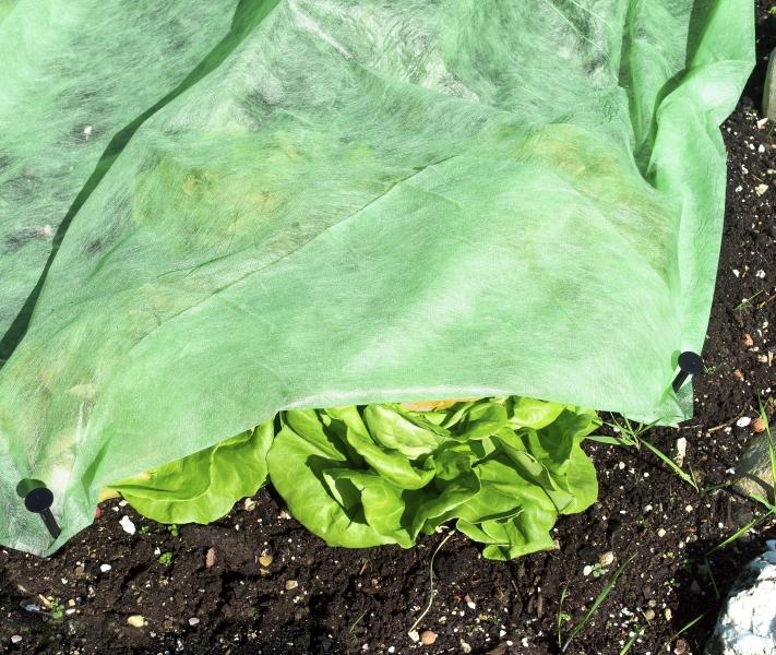 Produktbild Windhager Garten-Vlies Supergrow