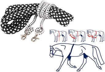 Actual product image Rilewa Lunging aid Soft