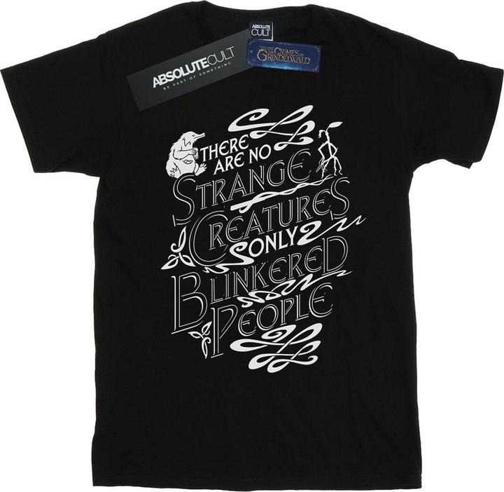 Actual product image Fantastic Beasts Mens Strange Creatures T-Shirt (4XL)