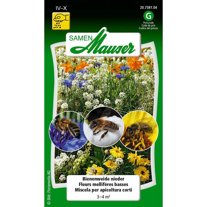 Image du produit Samen Mauser Pâturage d'abeilles (Graines de fleurs)