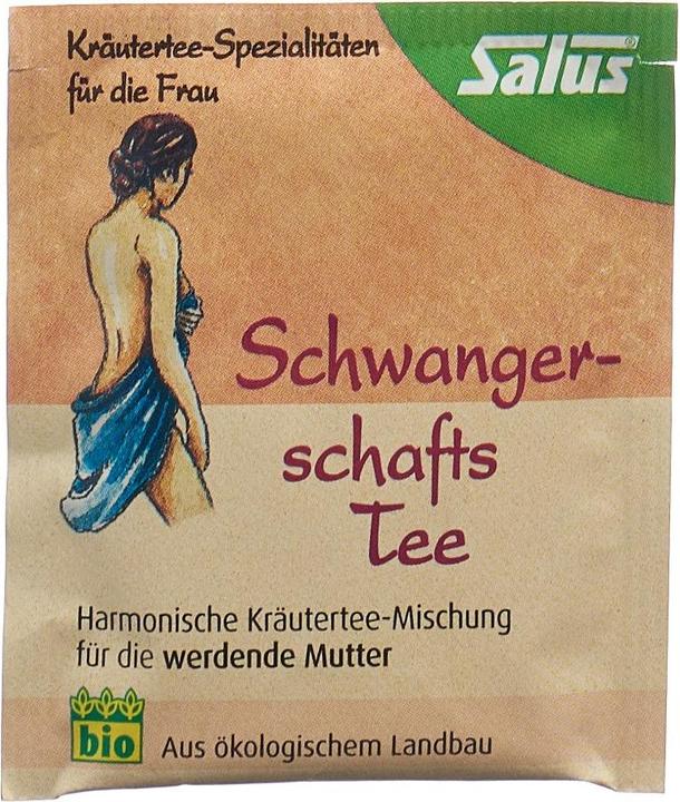 Actual product image Salus Pregnancy tea organic teas (64 g)