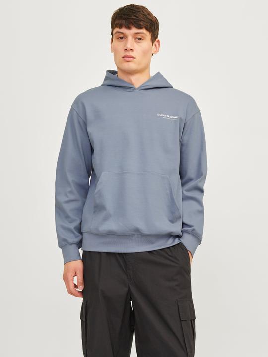Image du produit Jack & Jones Jcoaero Print Sweat Hood Noos (XXL)
