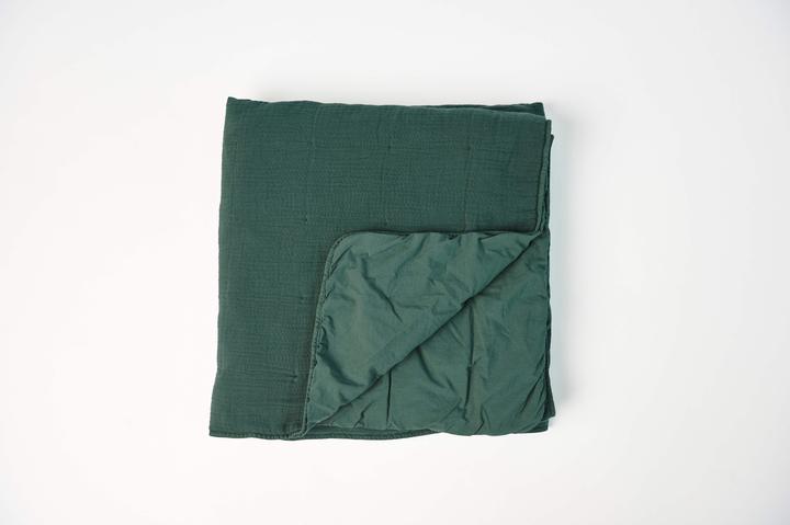 Vert foncé