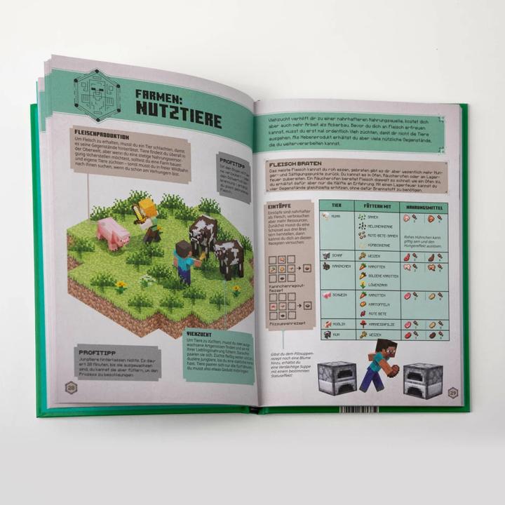 Actual product image Minecraft - Das Survival-Handbuch (German, Matthias Wissnet, Josef Shanel, Minecraft, 2022)