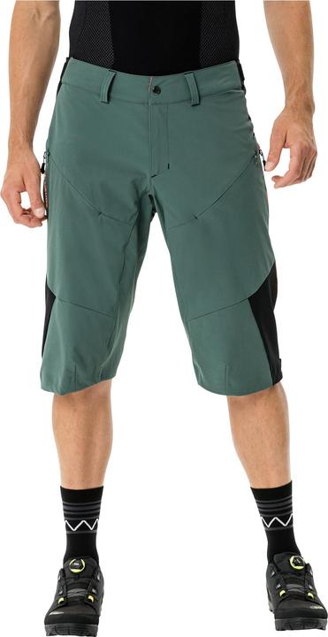 Image du produit Vaude Men' Moab Shorts IV (L)