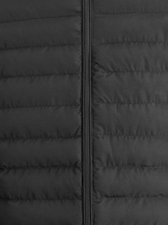 Image du produit Jack & Jones Veste matelassée recyclée (M)