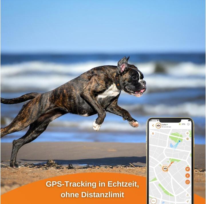 Image du produit Weenect Traceur GPS XS pour chiens, noir (Chien)