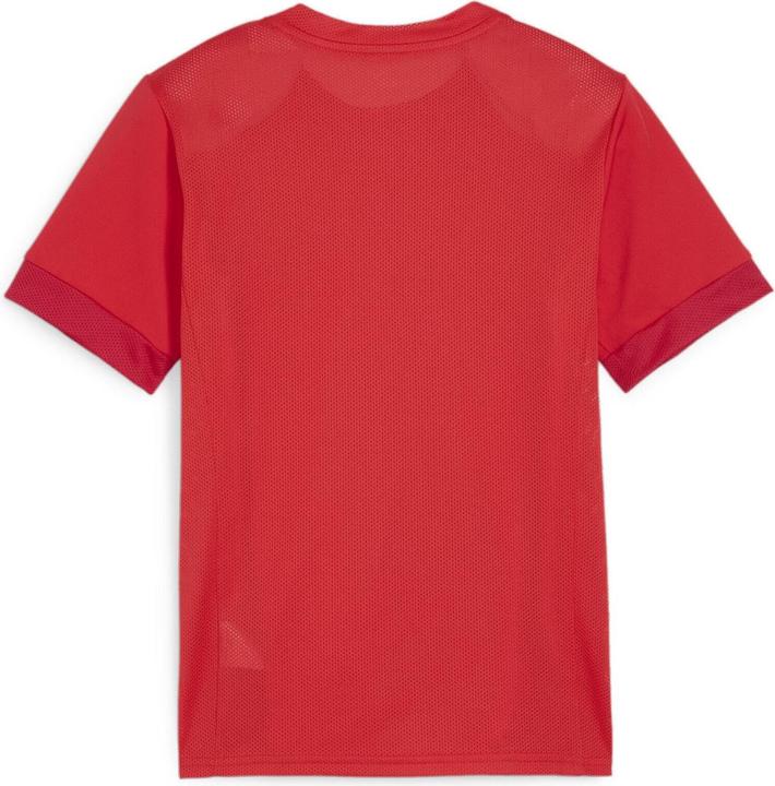 Actual product image Puma teamGOAL Matchday Jersey jr (L)