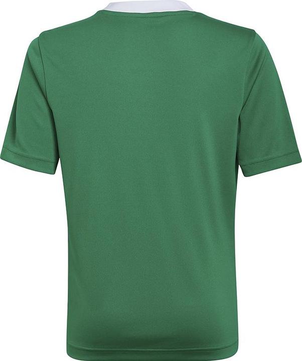 Actual product image adidas Entrada 22 Football Shirt Kids (152)