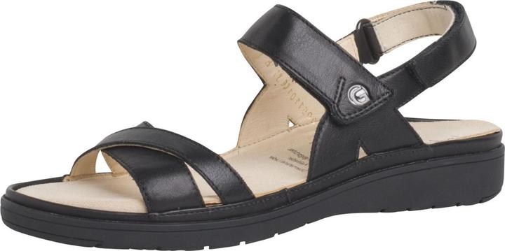 Black 01000
