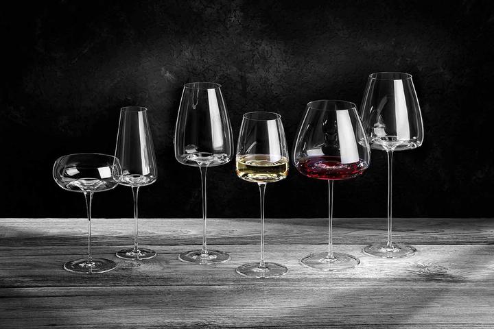 Immagine prodotto Zieher Visione equilibrata (85 cl, 2 Occhiali, Bicchieri da vino rosso)