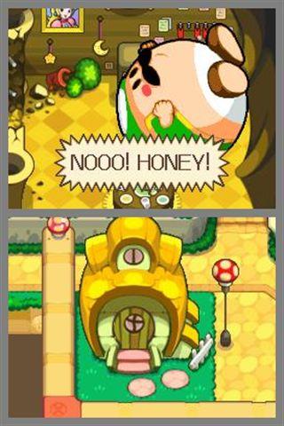 Image du produit Nintendo Mario & Luigi 3, NDS (NDS, DE)