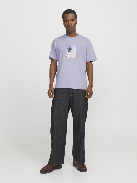 Image du produit Jack & Jones Jorvesterbro Picture Tee Ss Crew Neck Sn (XL)