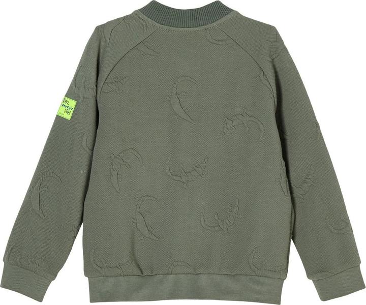 S.Oliver Sweatjacke
