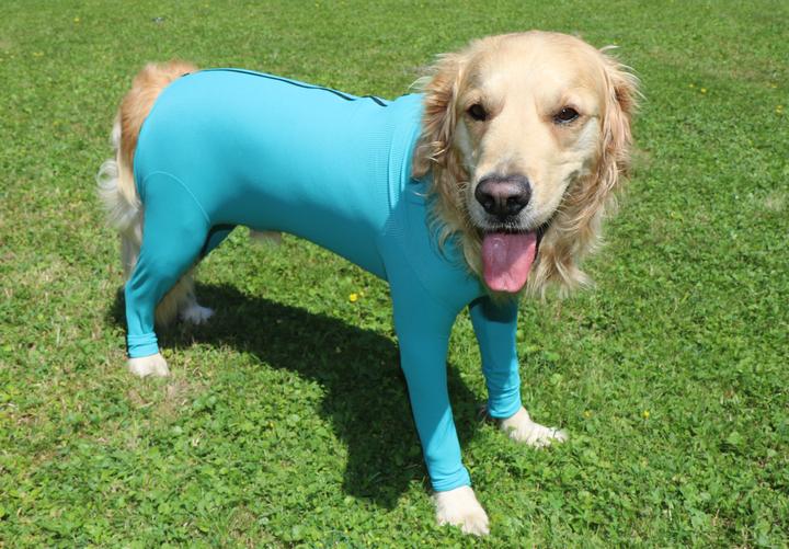 Produktbild Vetmedcare Hunde Body mit Beinen& Zipper (Hund)